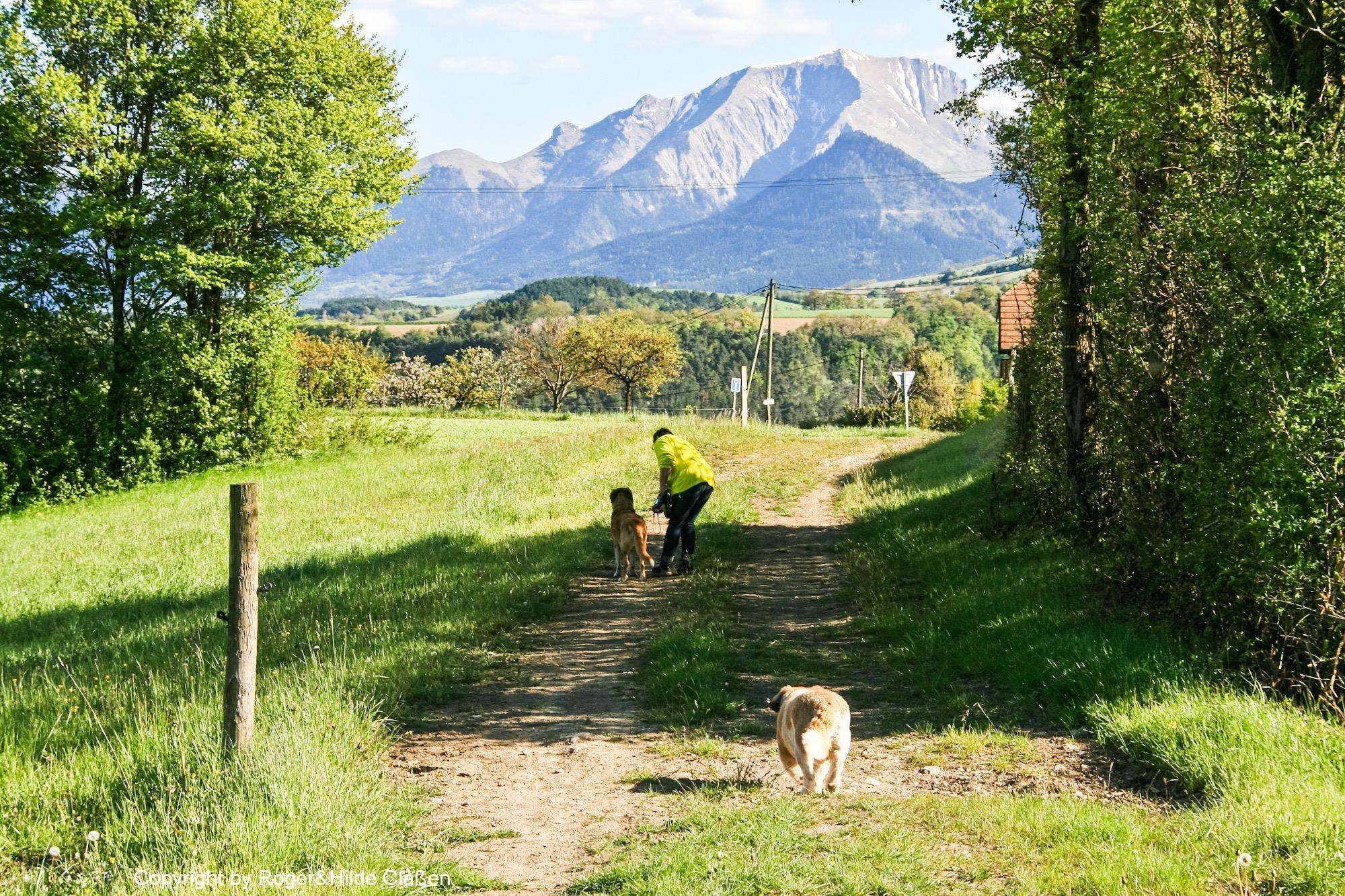 Saint-André-sur-Vieux-Jonc, das Jura und Saint-Martin-de-Clelles 19 Wanderung mit den Hunden nach Saint-Martin-les-Celles