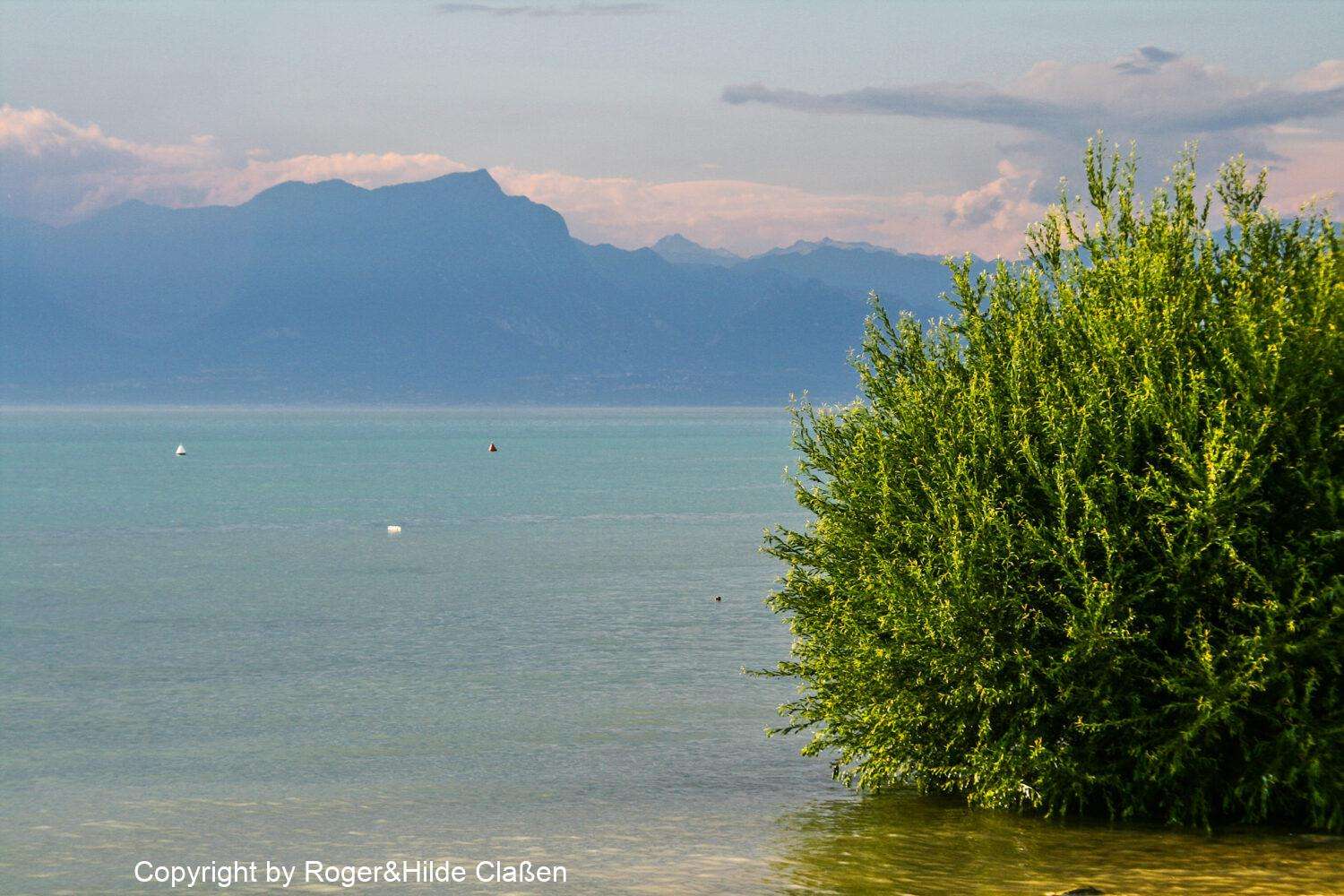 Lazise am Gardasee 5 Lago di Gardo - Gardasee / Die Alpen