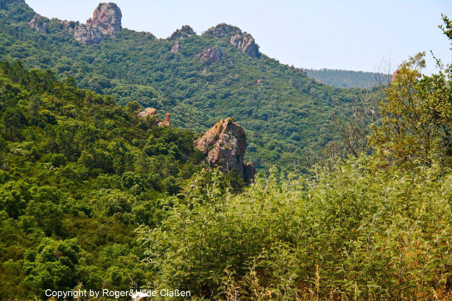 Saint-Tropez, Cannes und Genua 5 Die Wildnis im Massif des Maures