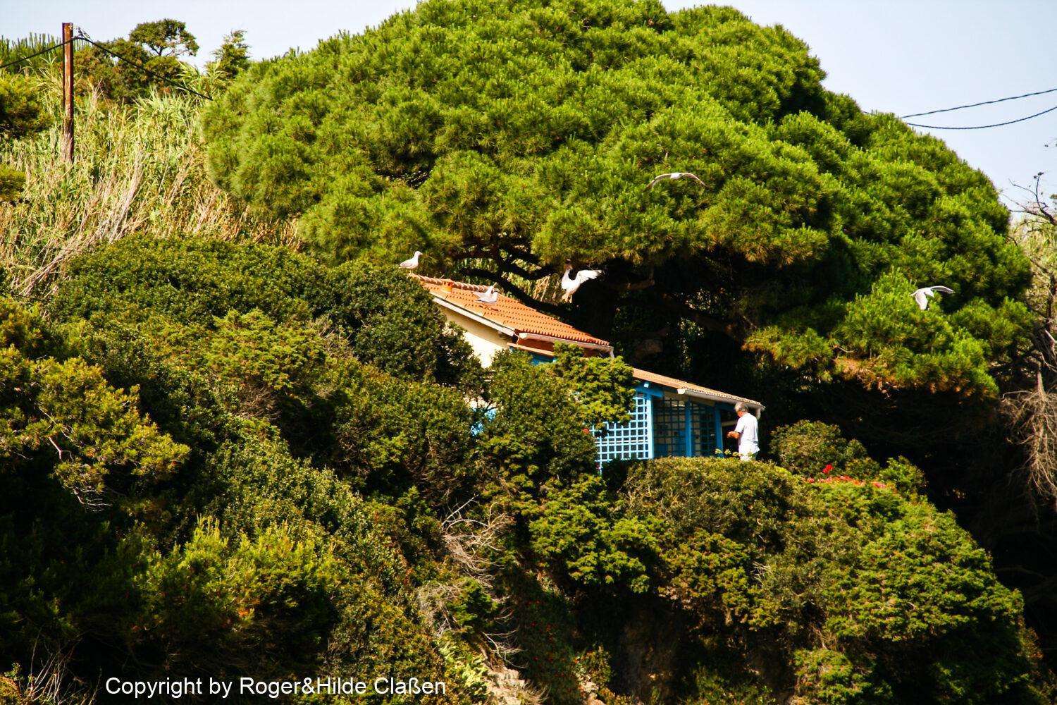 Aix-en-Provence und Hyeres 19 Eine der vielen Villen mit Meerblick an der Küste der Halbinsel Giens
