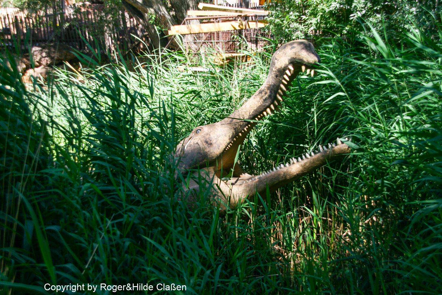Reptilienfarm zum Vallon Pont d'Arc 24 Was ist das für ein Reptil?