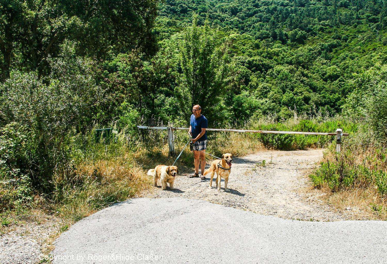 In der Wildnis Südfrankreichs. Beste Gelegenheit den Hunden eine Pause zu gönnen