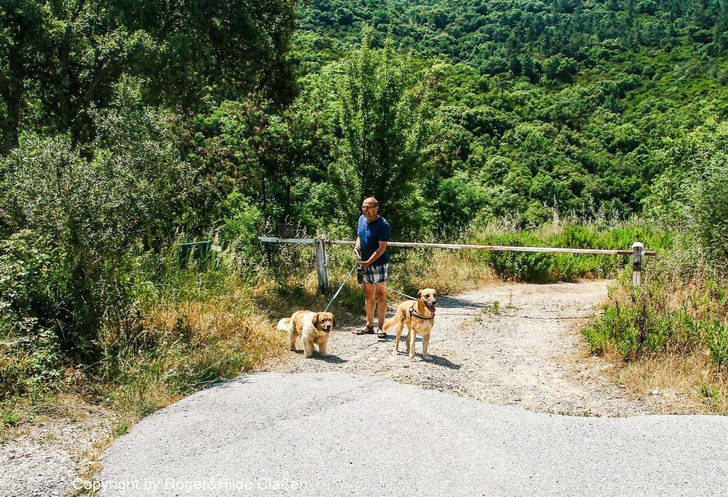 Saint-Tropez, Cannes und Genua 7 In der Wildnis Südfrankreichs. Beste Gelegenheit den Hunden eine Pause zu gönnen