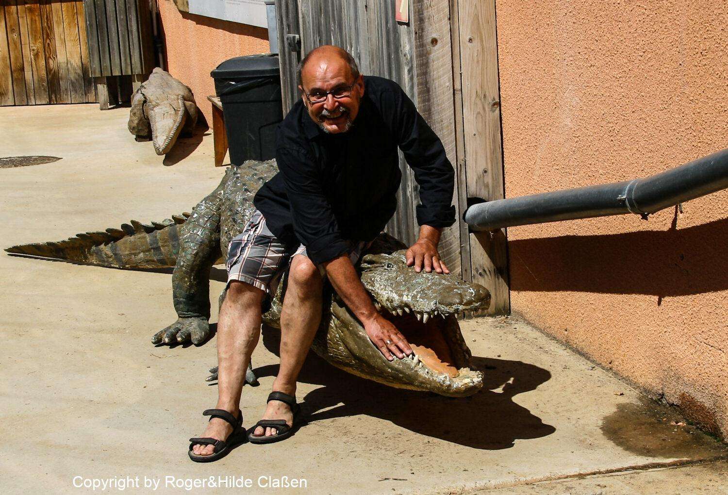 Reptilienfarm zum Vallon Pont d'Arc 20 Mutig. Bei einem echten Krokodil würde das nicht gut ausgehen.