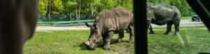 Der Serengeti Park Hodenhagen 1 Intro Serengeti Park Hodenhagen