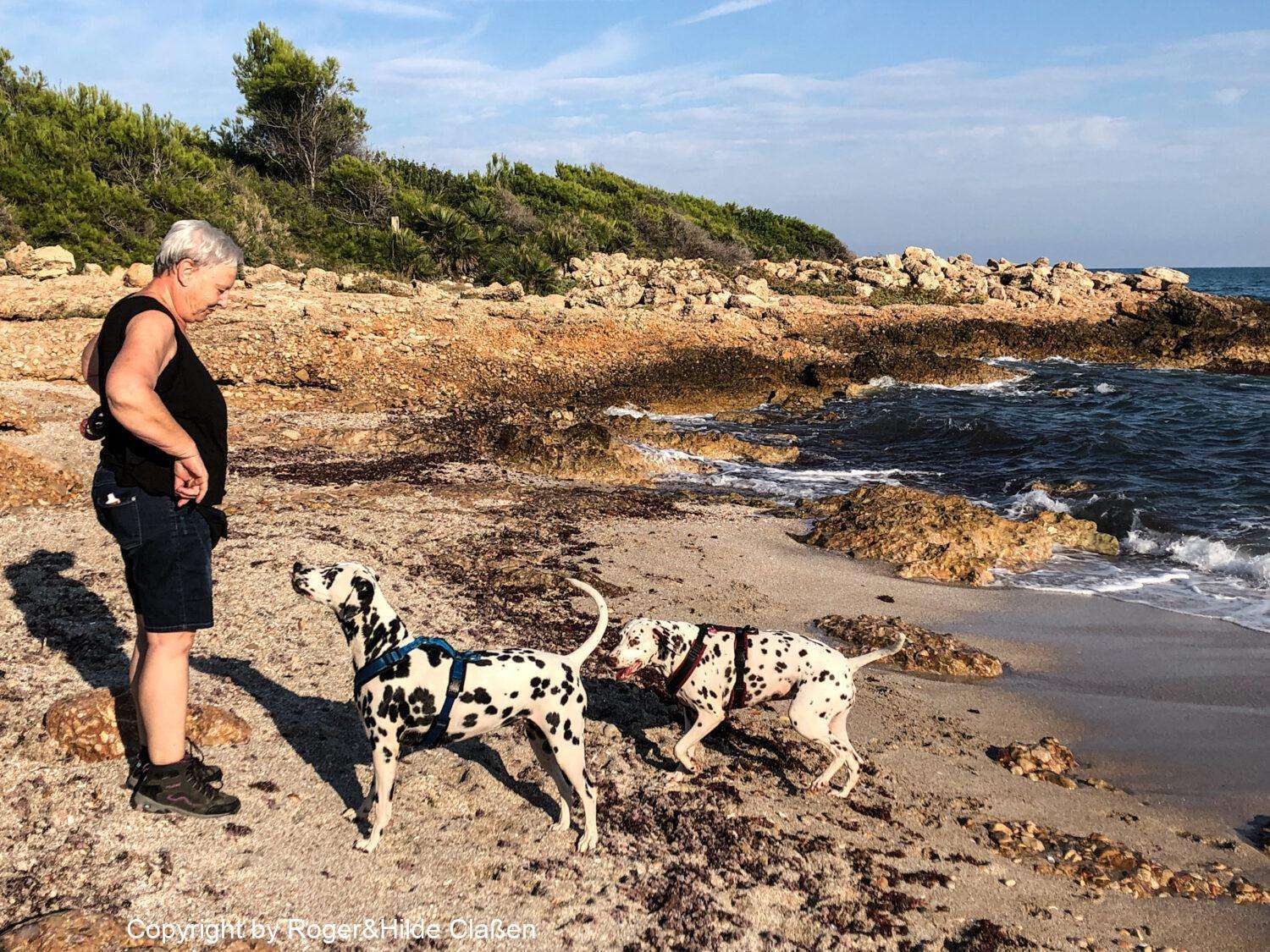 Narbonne Plage nach El Ejido 8 Hilde, Emmy und Maja im Im Naturschutzgebiet Parc Natural de la Serra d’Irta