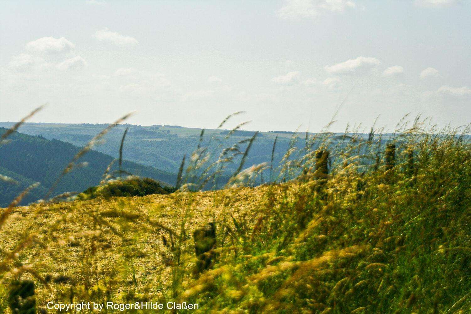Steckenborn in der Eifel 4 Sommer in der Eifel