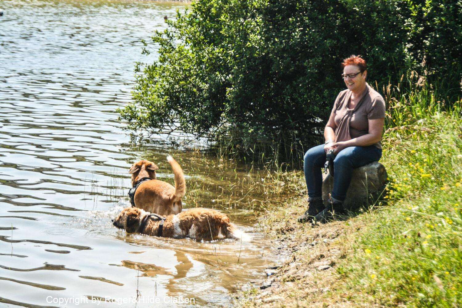 Steckenborn in der Eifel 6 Hilde und die Hunde am Rursee