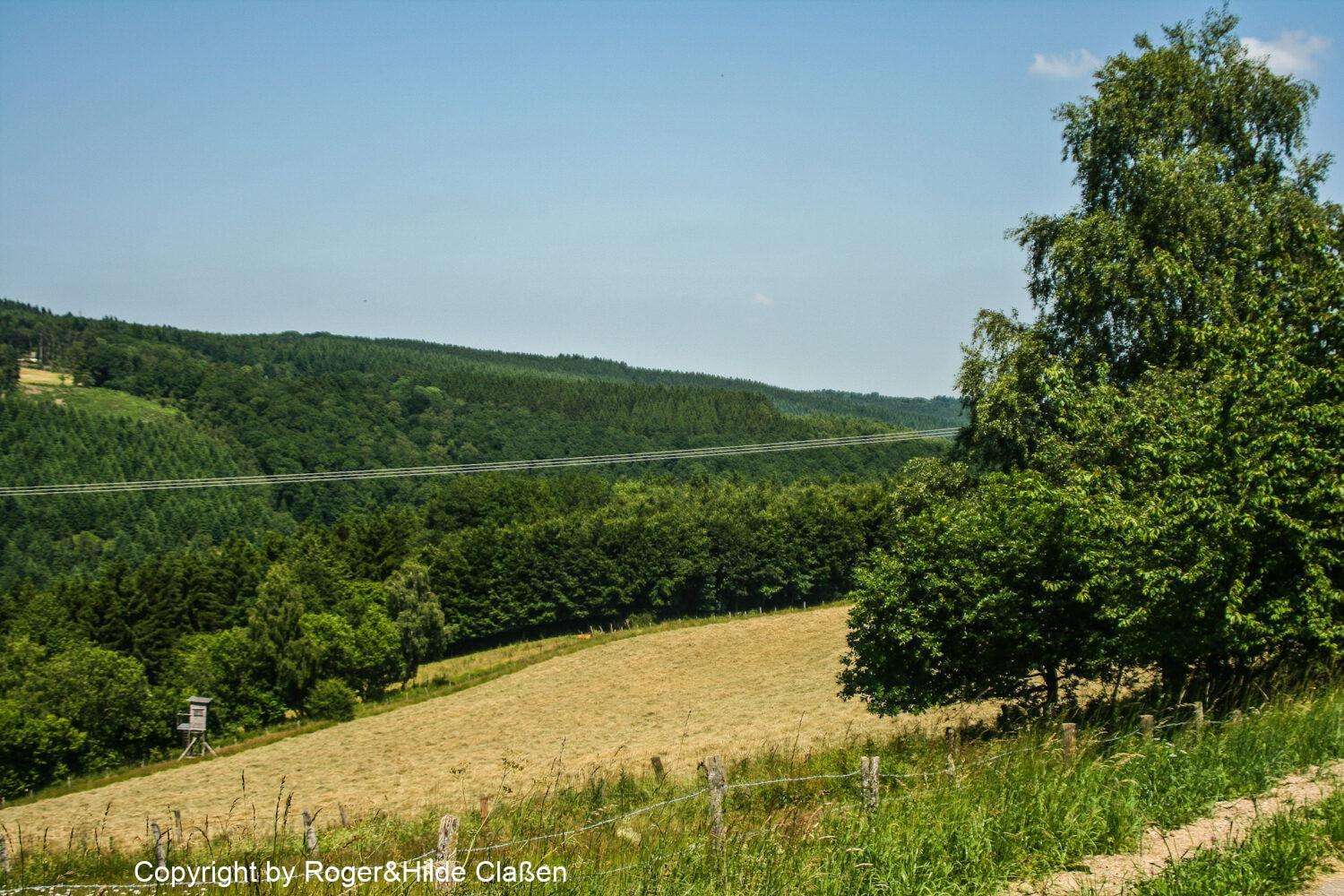 Steckenborn in der Eifel 11 Steckenborn in der Nordeifel.