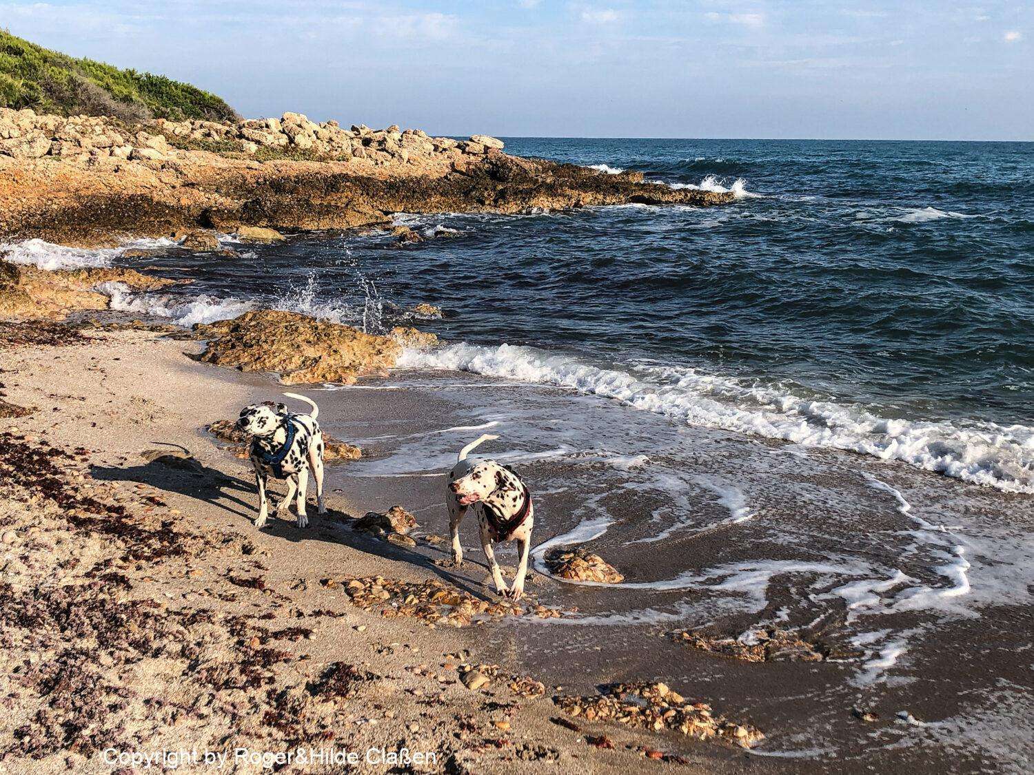 Narbonne Plage nach El Ejido 9 Emmy und Maja am Strand des Parc Natural de la Serra d’Irta