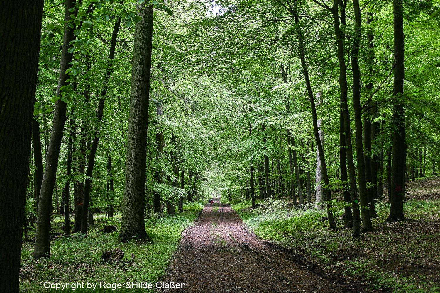 Hochzeitsreise nach Rügen 55 Wanderung in Prora in der Nähe von Binz, auf der Insel Rügen