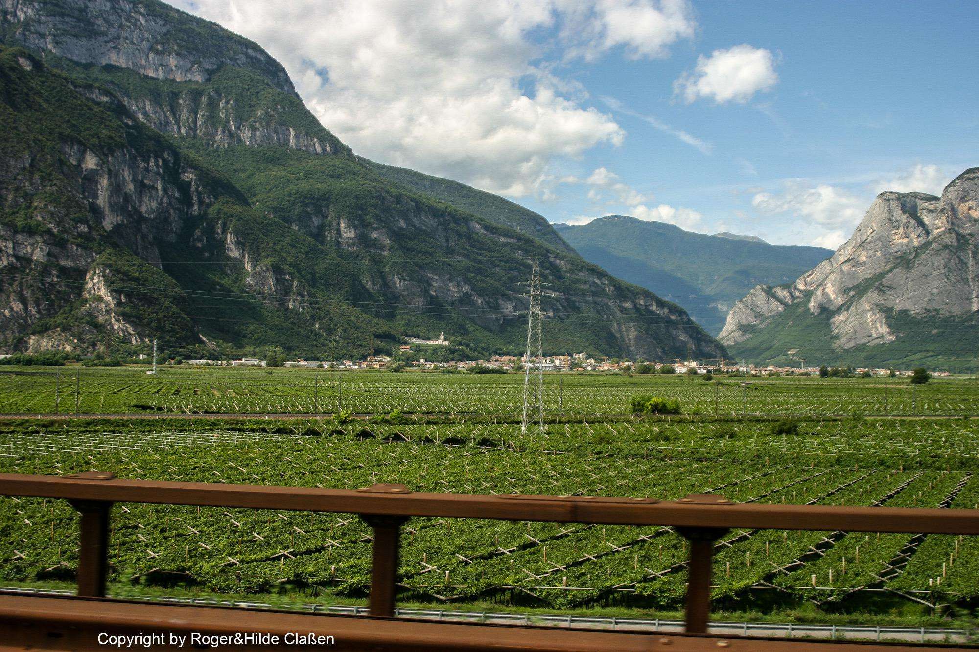 Weinanbaugebiet in Südtirol