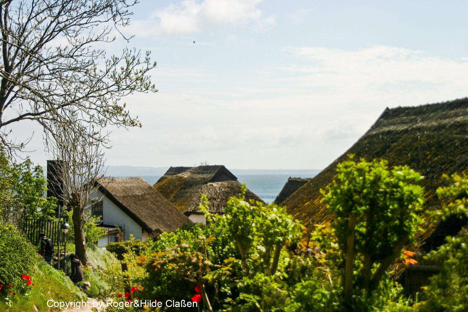 Hochzeitsreise nach Rügen 43 Das Dorf Vitt auf der Insel Rügen