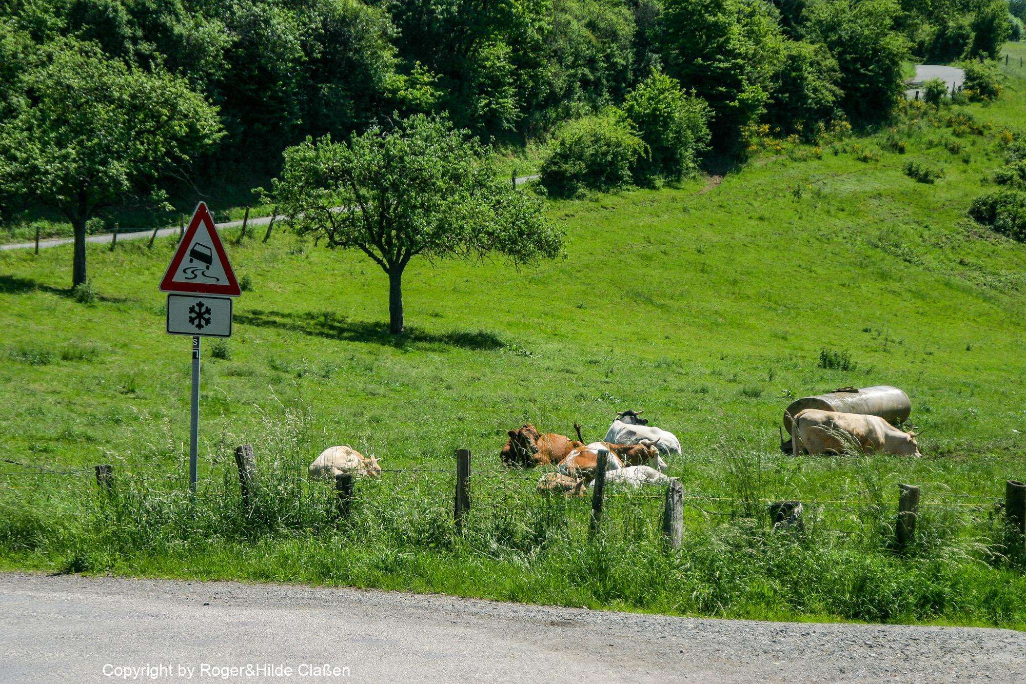 Hochzeitsreise nach Rügen 124 Wieder zuhause in Buchholz im Westerwald. Hier ist es auch schön.