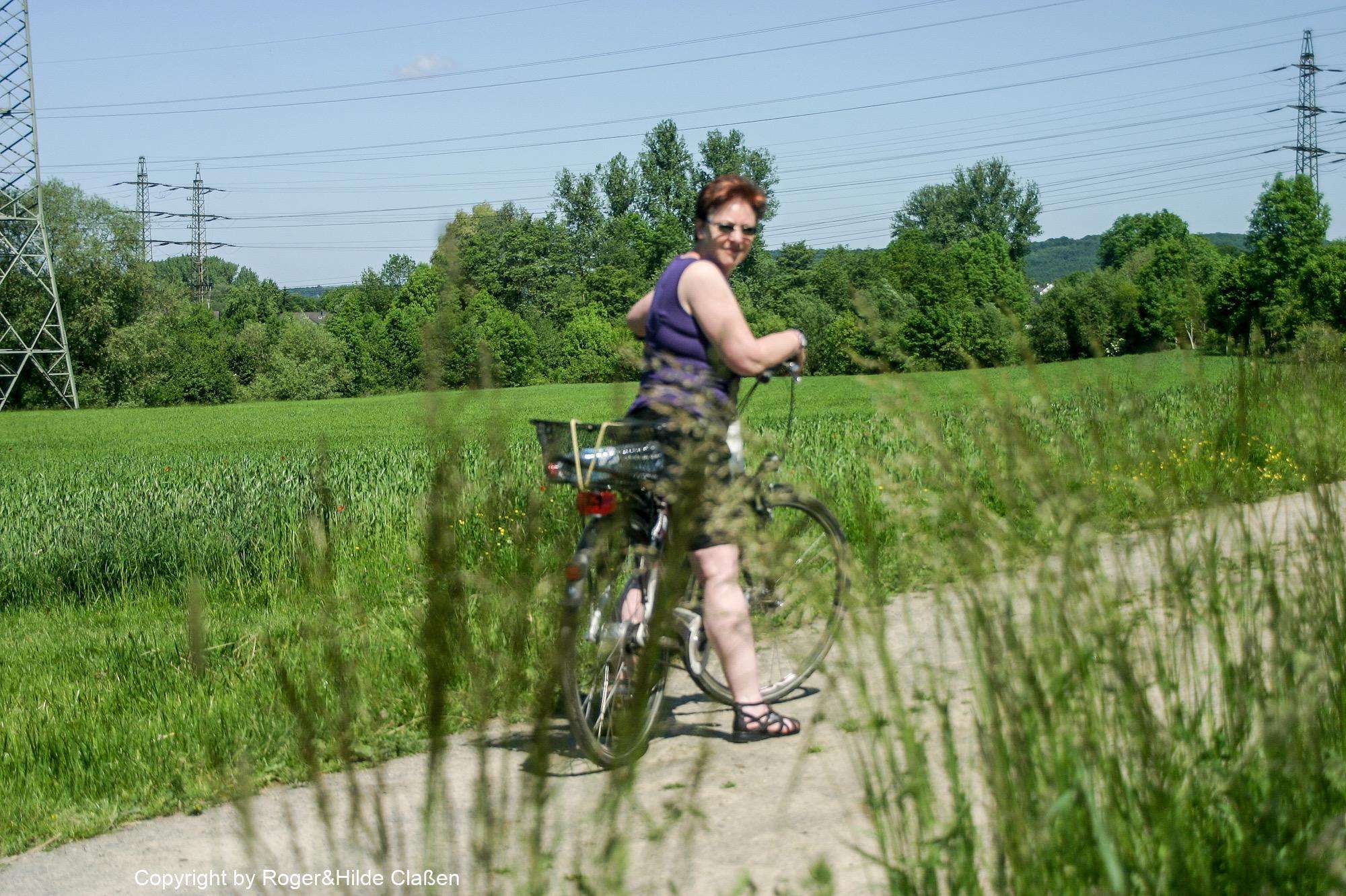 Hochzeitsreise nach Rügen 123 Wieder Zuhause im Wrsterwald. Fahrradtour