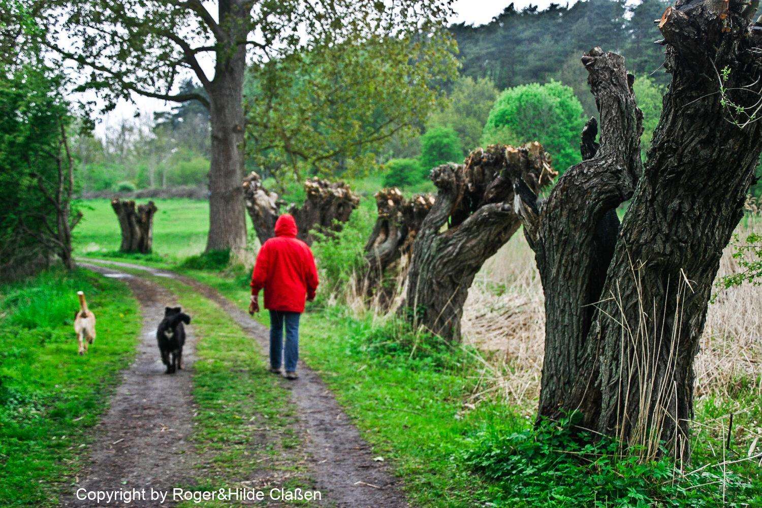 Hochzeitsreise nach Rügen 14 Trotz Regen. Spaziergang am Neuklostersee