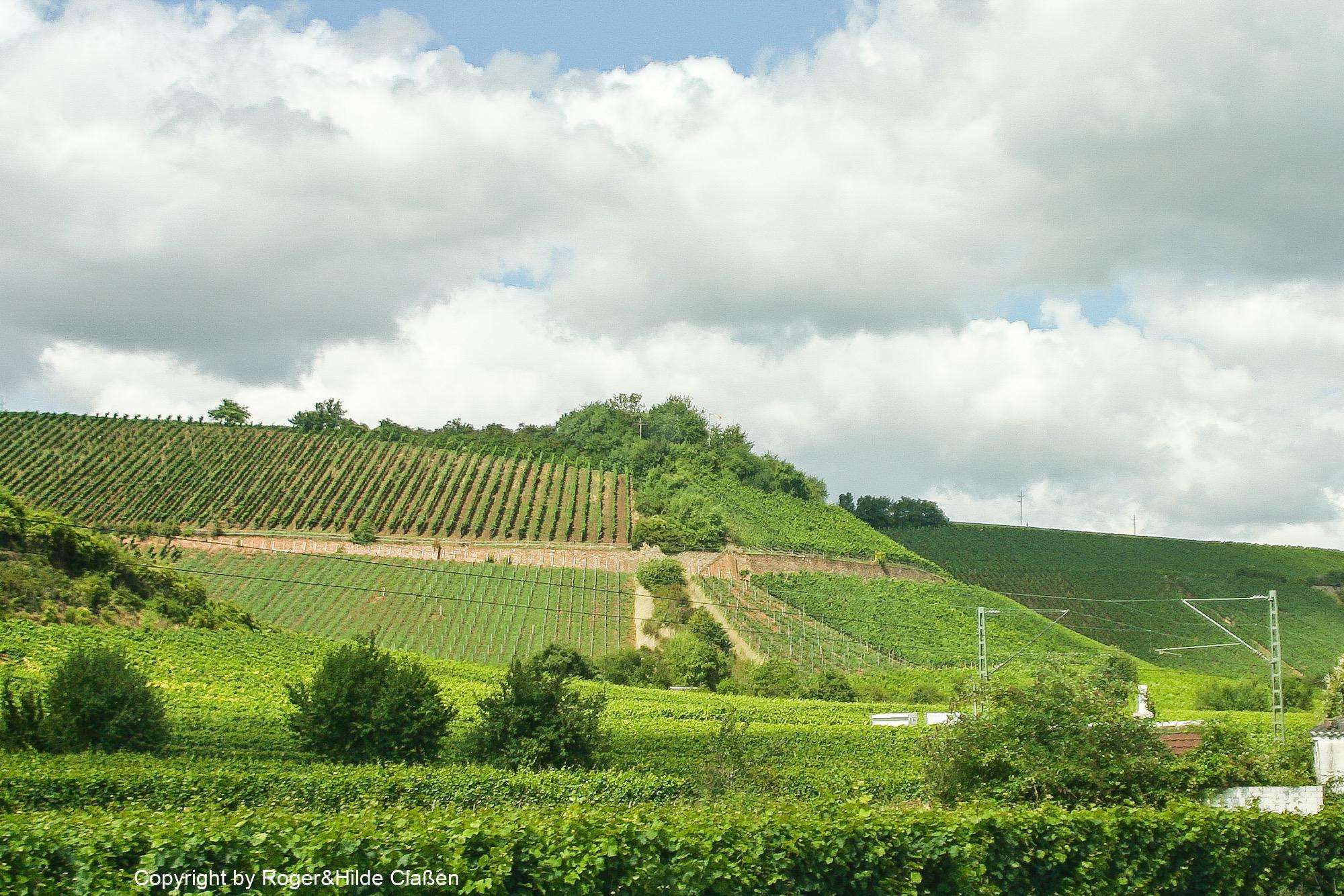 2010. Wochenende in Ladenburg 23 Unsere Heimreise quer durch das schöne Rheinland Pfalz