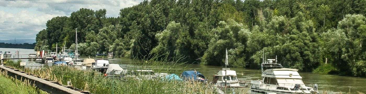 2010. Wochenende in Ladenburg 1 Intro der Rhein bei Worms