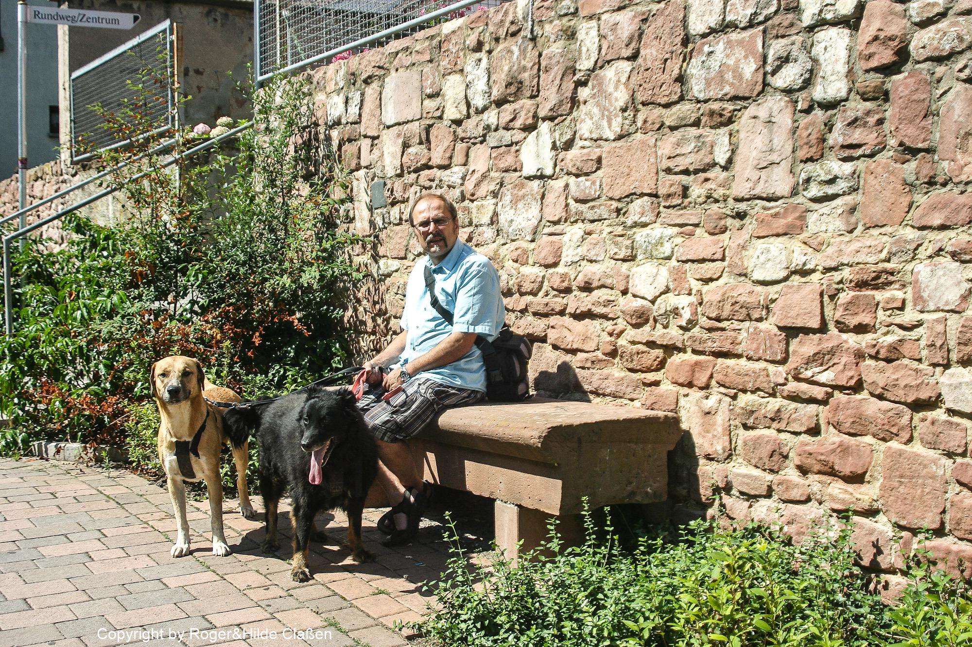 2010. Wochenende in Ladenburg 7 Lucky, Maiki und Roger